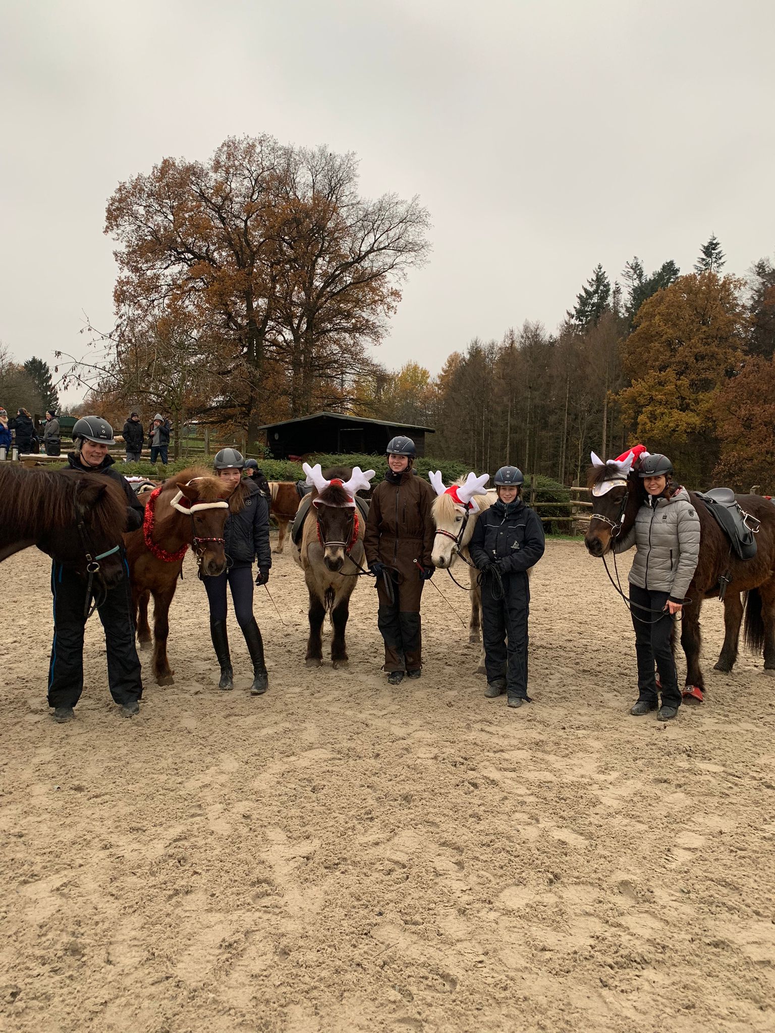 Winter Quadrille